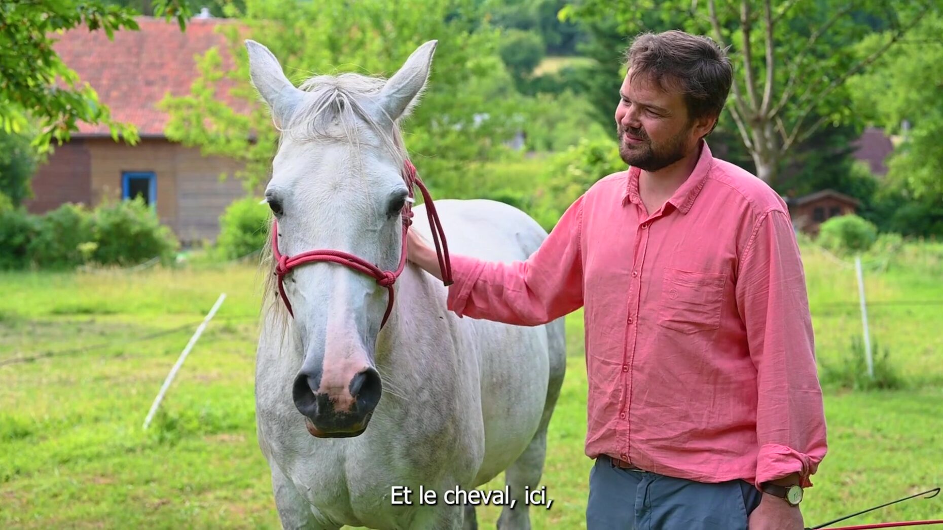 Jean-Marie de Williencourt- Equicoaching